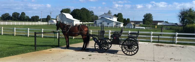 Some Amish people don’t like to be photographed, but in this case, the horse didn’t mind. In Indiana.